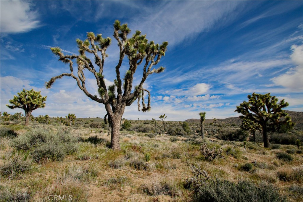 26 Vista Rd, Pioneertown, CA 92356