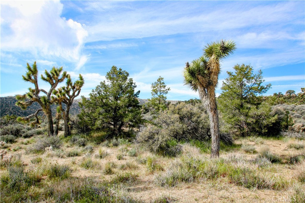 26 Vista Rd, Pioneertown, CA 92356