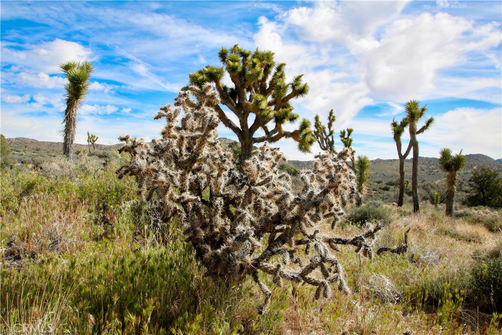 26 Vista Rd, Pioneertown, CA 92356