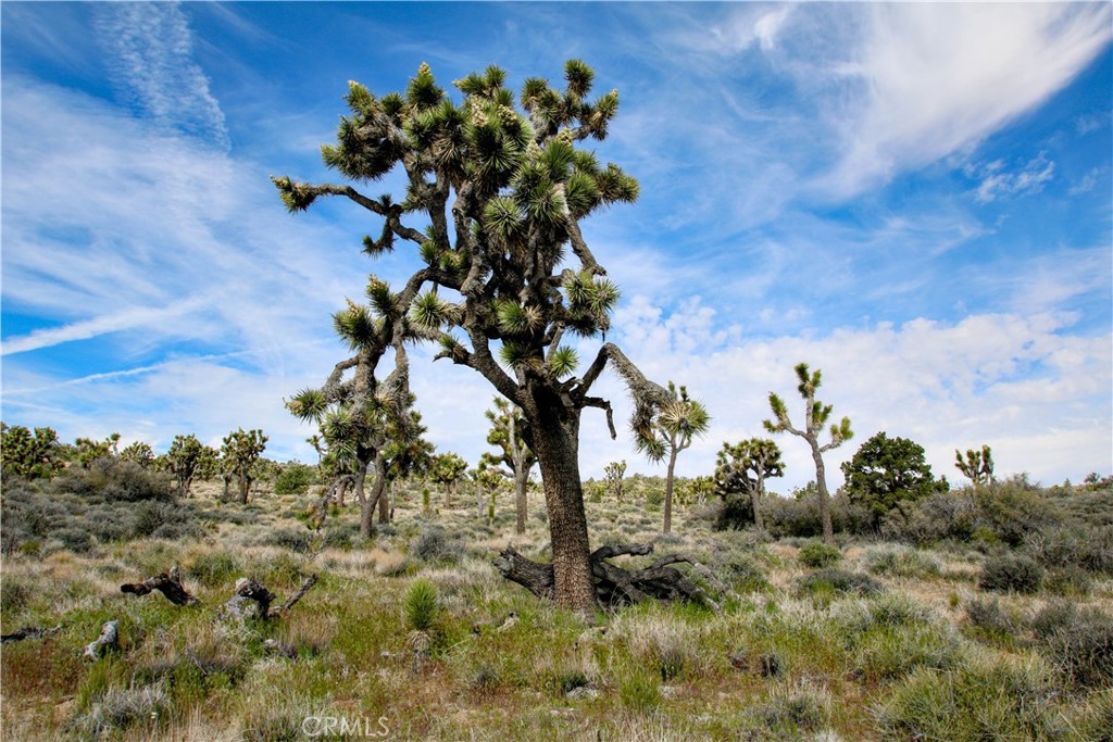 26 Vista Rd, Pioneertown, CA 92356