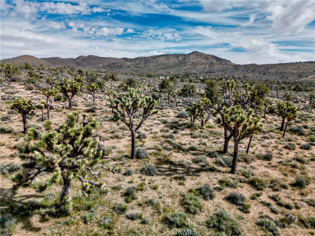 26 Vista Rd, Pioneertown, CA 92356