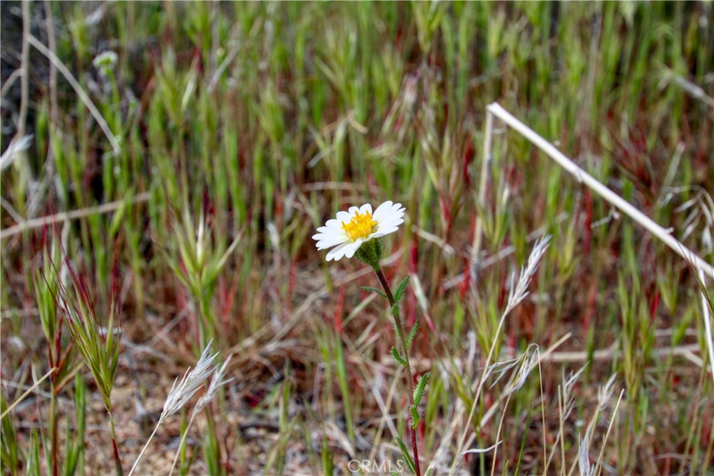 26 Vista Rd, Pioneertown, CA 92356