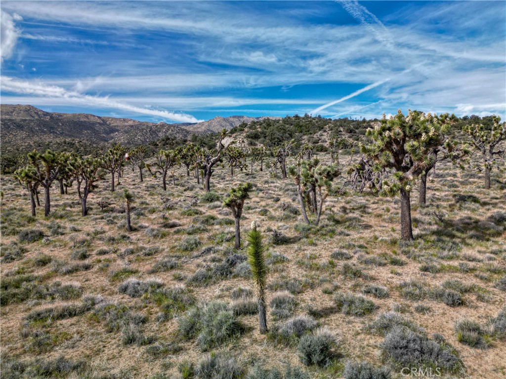 27 Vista Rd, Pioneertown, CA 92356