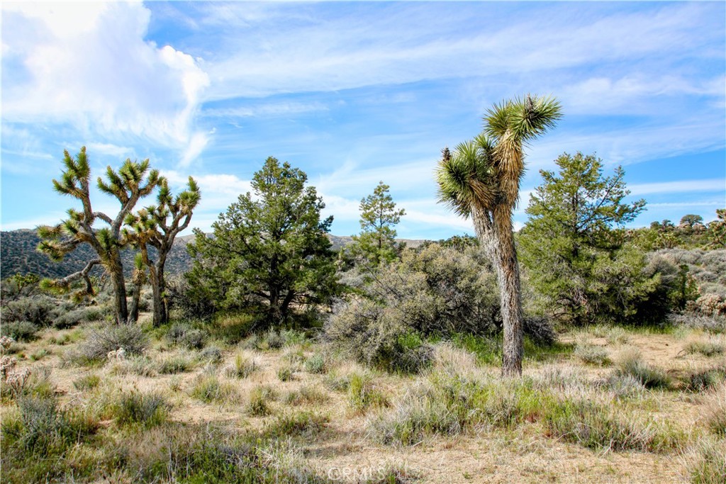 27 Vista Rd, Pioneertown, CA 92356