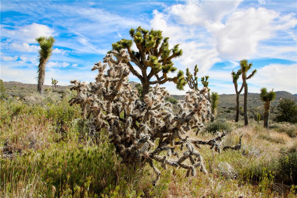 27 Vista Rd, Pioneertown, CA 92356