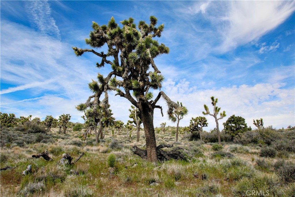 27 Vista Rd, Pioneertown, CA 92356