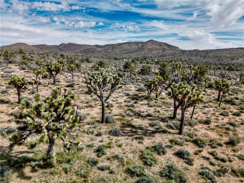 27 Vista Rd, Pioneertown, CA 92356