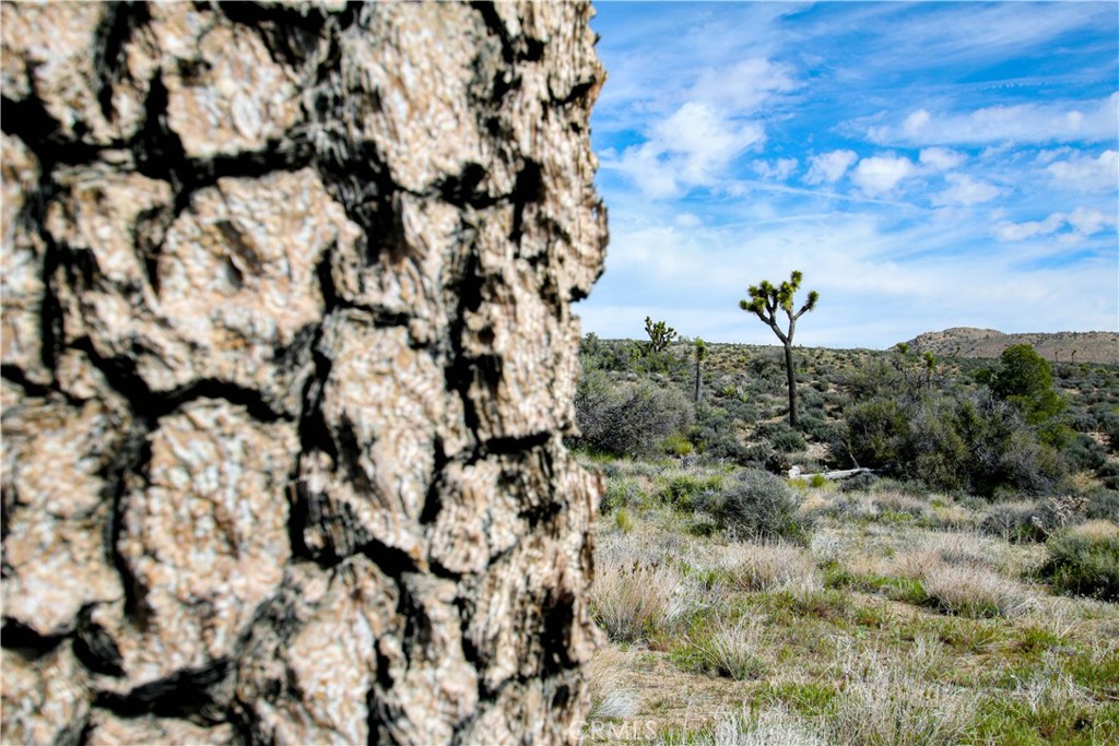 27 Vista Rd, Pioneertown, CA 92356