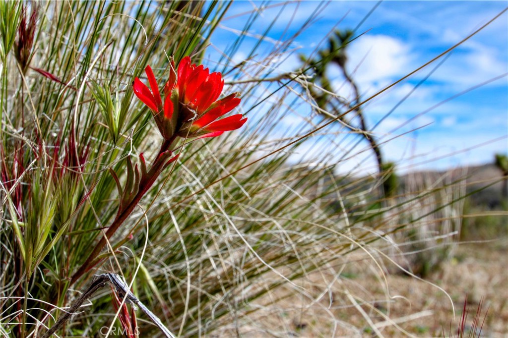 27 Vista Rd, Pioneertown, CA 92356