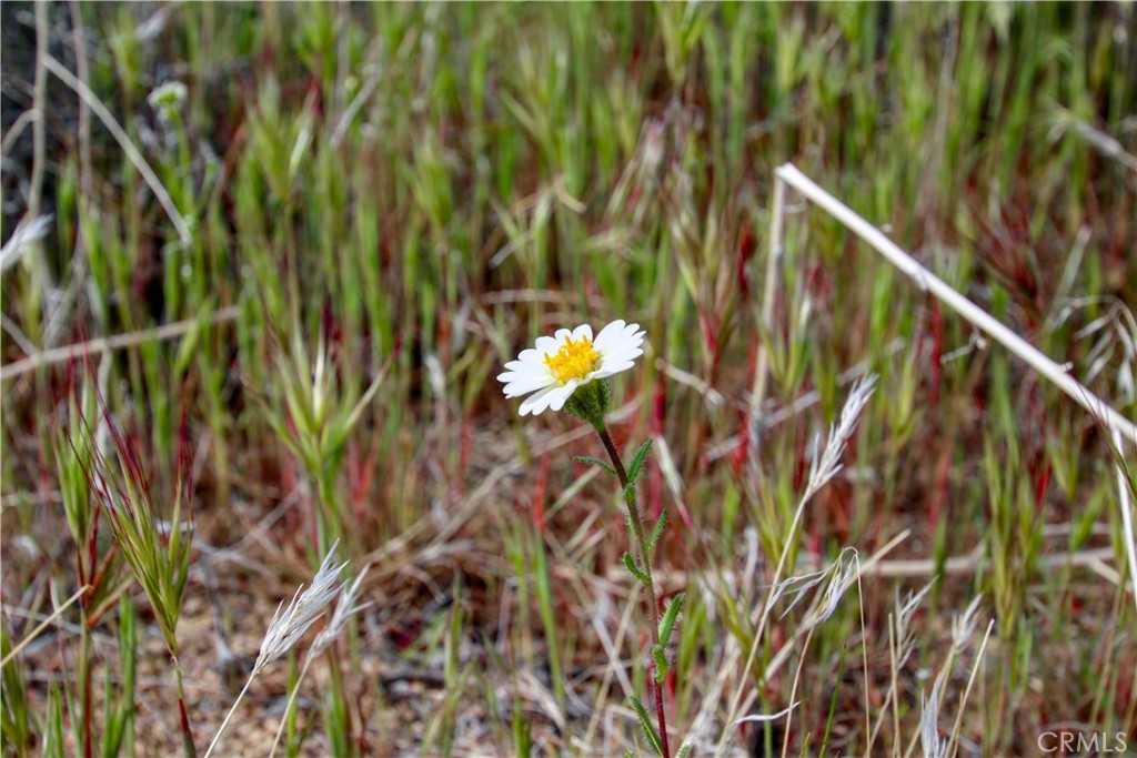 27 Vista Rd, Pioneertown, CA 92356