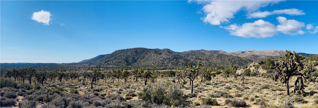 27 Vista Rd, Pioneertown, CA 92356