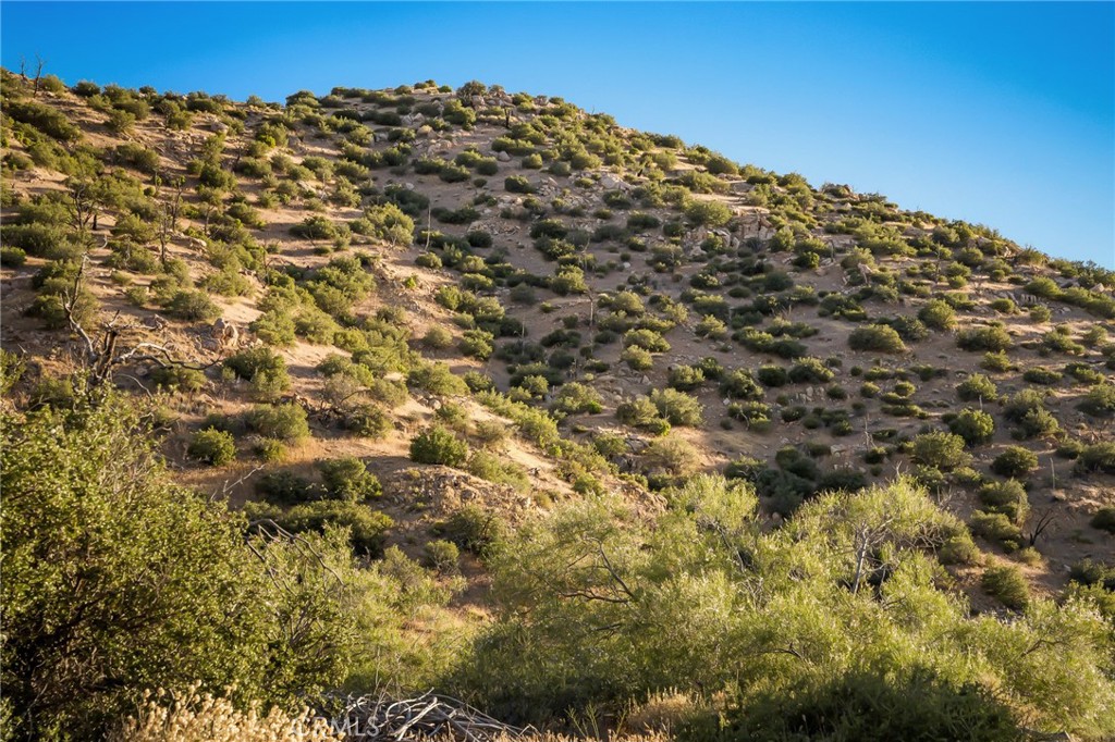 50285 Burns Canyon, Pioneertown, CA 92268