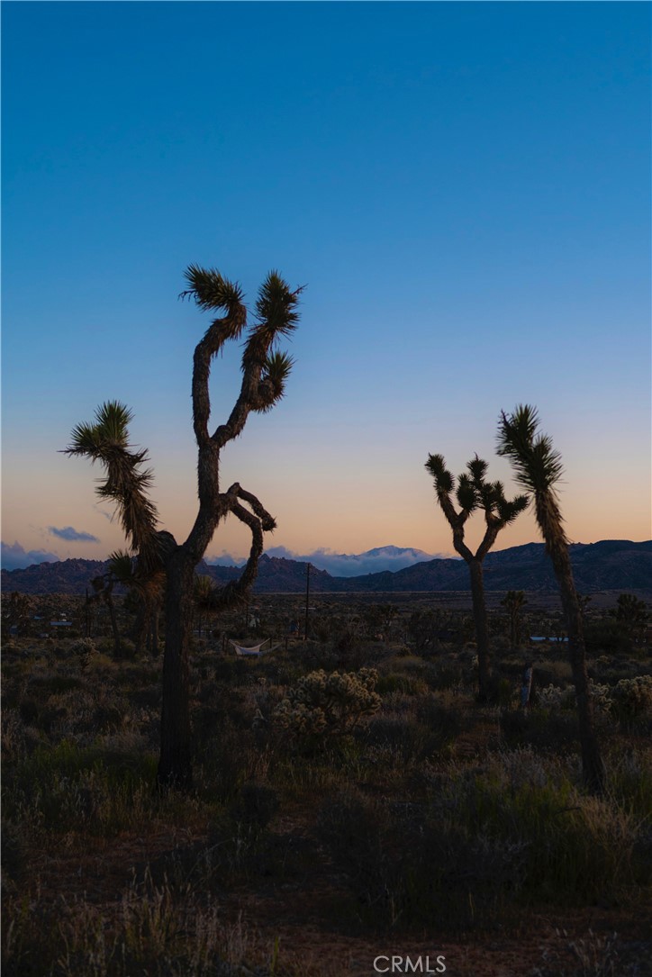 2171 Billy Bob Ln, Pioneertown, CA 92268