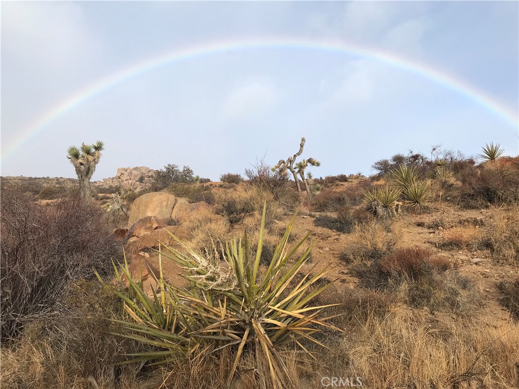 100 Gods Way Love Rd Rd, Pioneertown, CA 92268