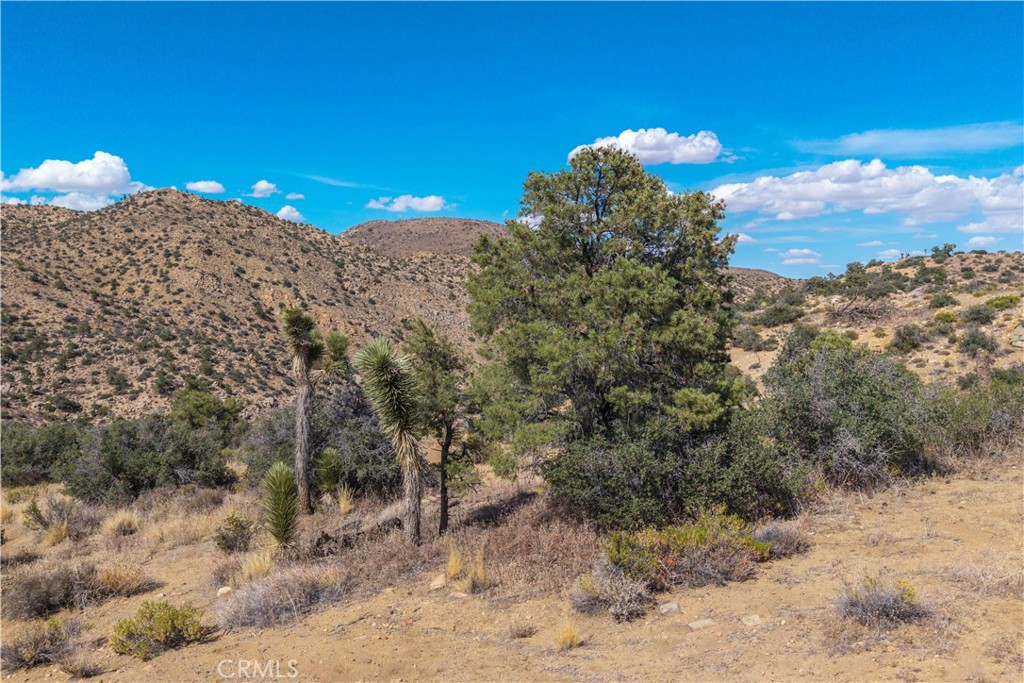 48620 Madison Rd, Pioneertown, CA 92268
