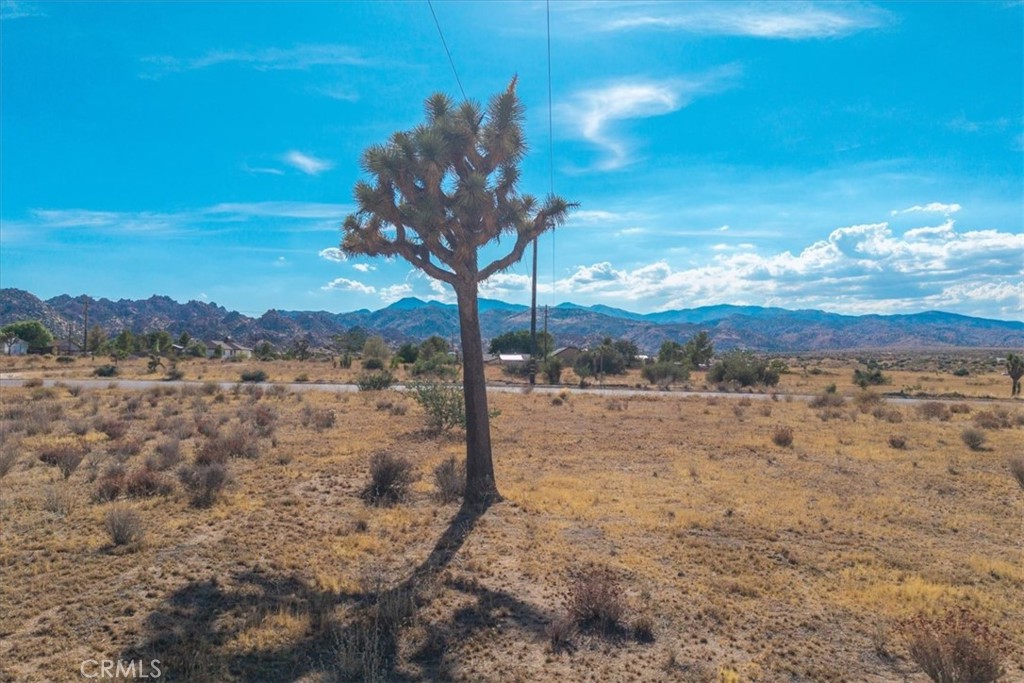 53335 Pioneertown, Pioneertown, CA 92268