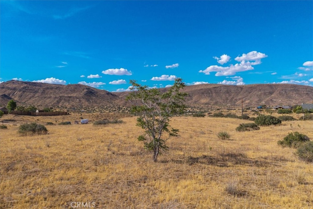 53335 Pioneertown, Pioneertown, CA 92268