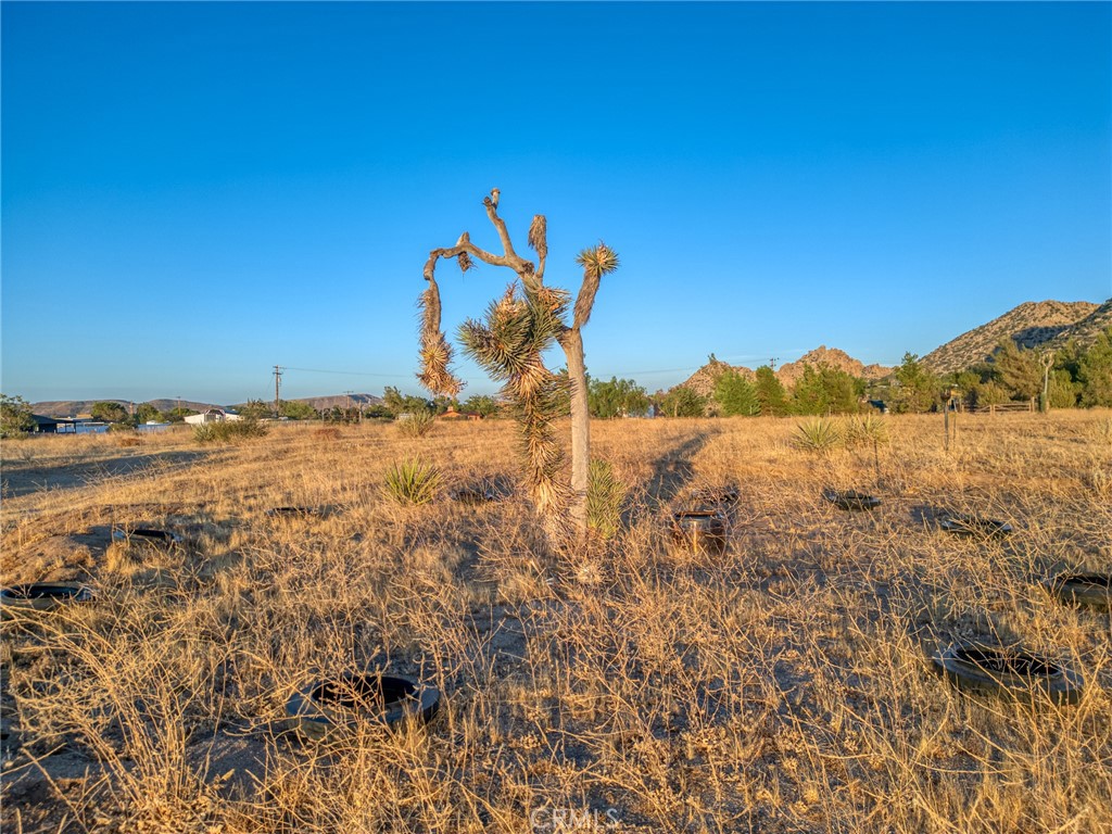 5430 Red Ryder Rd, Pioneertown, CA 92268