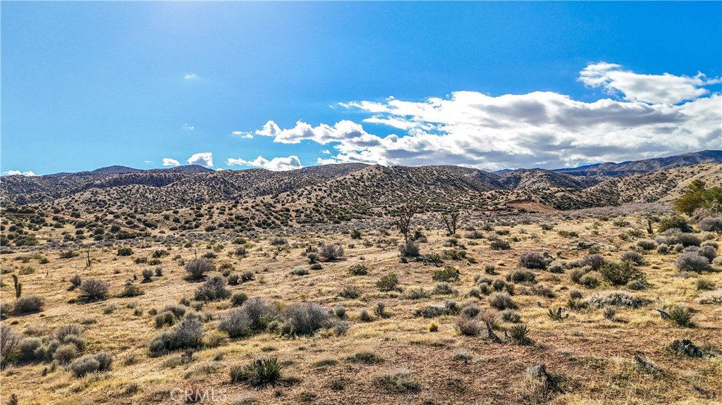 1234 Bisbee Rd, Pioneertown, CA 92268