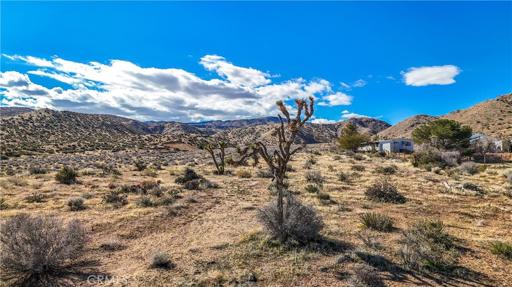 1234 Bisbee Rd, Pioneertown, CA 92268