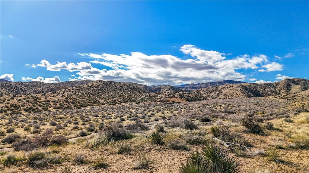 1234 Bisbee Rd, Pioneertown, CA 92268