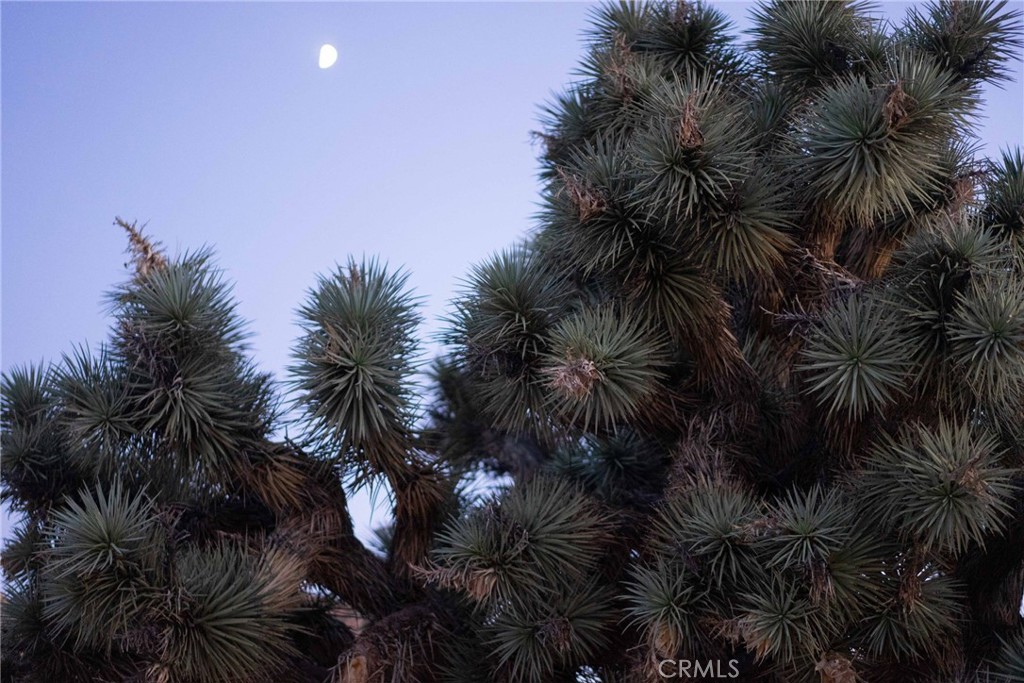 5634 Red Ryder, Pioneertown, CA 92268