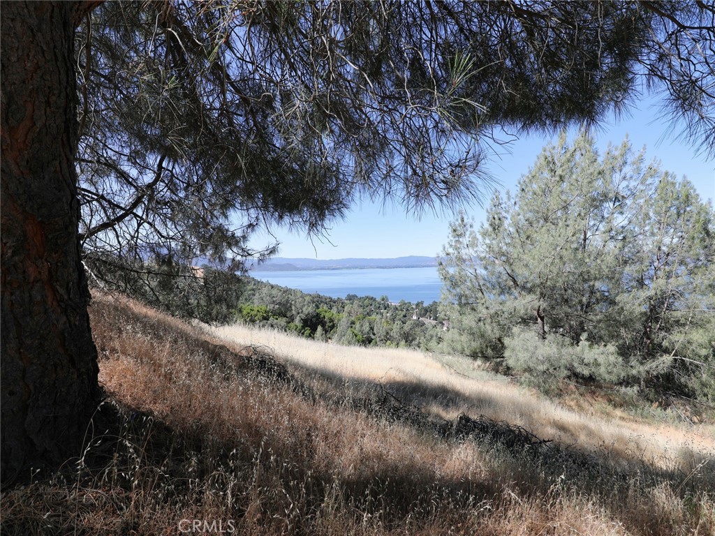 6907 Leslie Rd, Lucerne, CA 95458