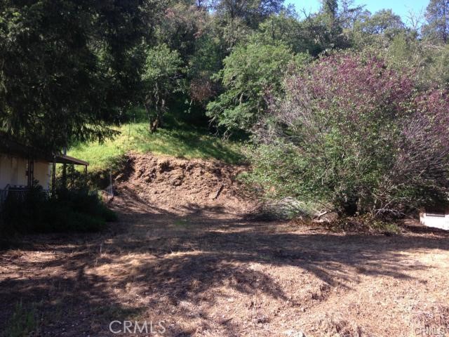 6867 Rosemont Dr, Lucerne, CA 95458