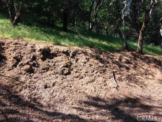 6867 Rosemont Dr, Lucerne, CA 95458