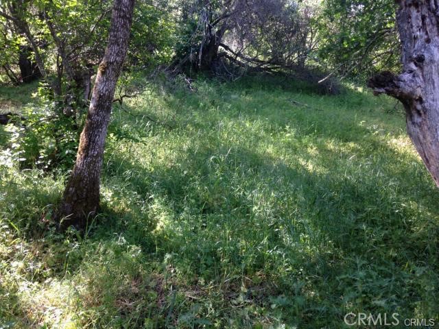 6867 Rosemont Dr, Lucerne, CA 95458