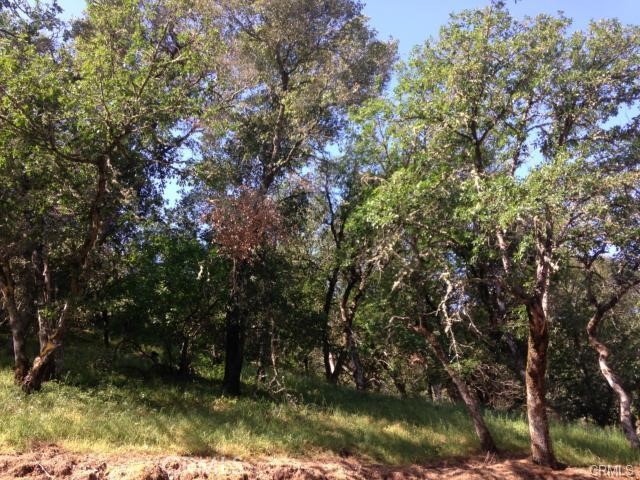 6867 Rosemont Dr, Lucerne, CA 95458