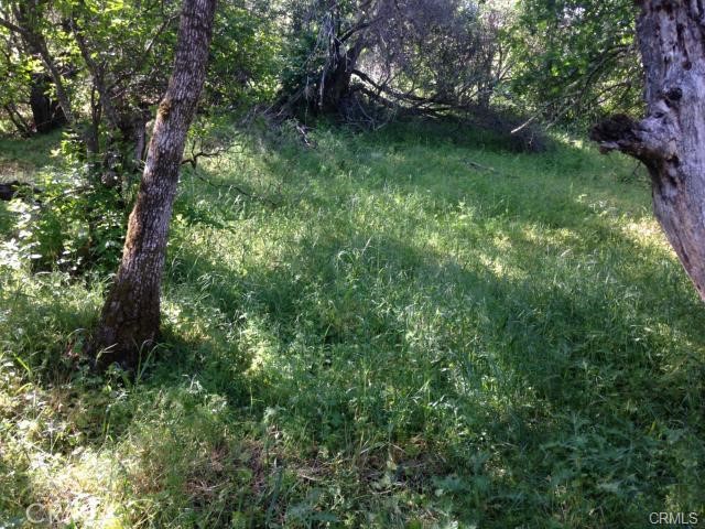 6867 Rosemont Dr, Lucerne, CA 95458