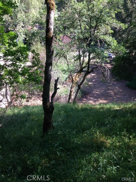 6867 Rosemont Dr, Lucerne, CA 95458