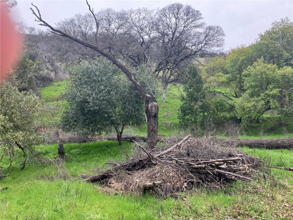 7005 7018 E Highway 20, Lucerne, CA 95458