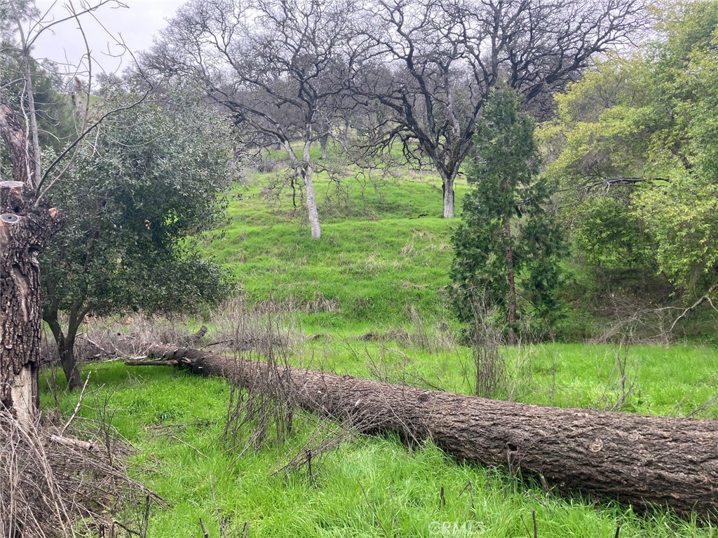 7005 7018 E Highway 20, Lucerne, CA 95458