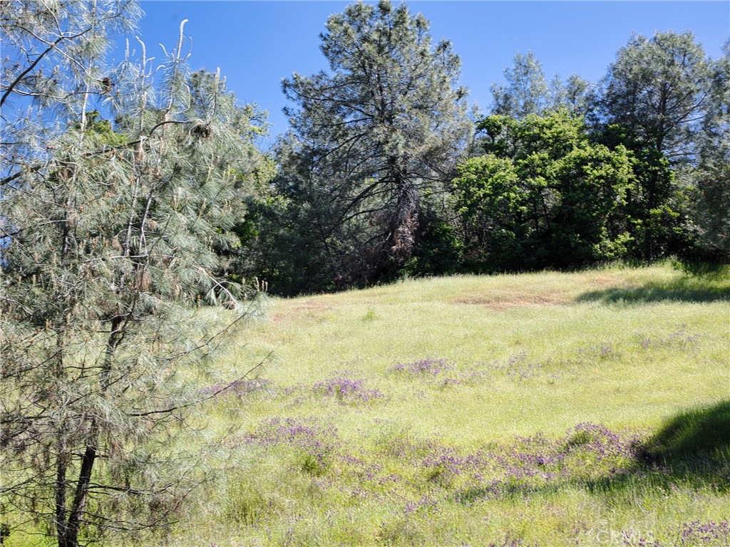 6983 Leslie Rd, Lucerne, CA 95458