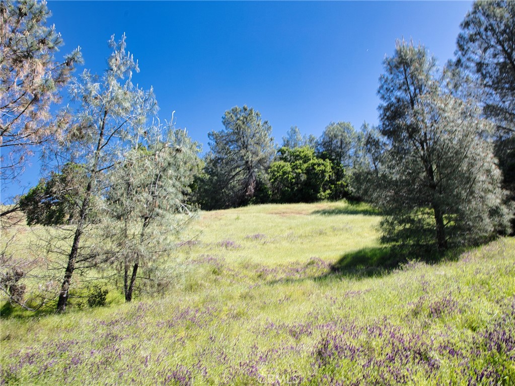 6983 Leslie Rd, Lucerne, CA 95458