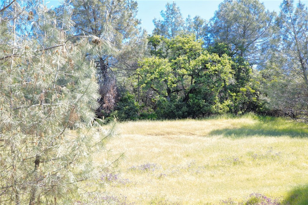 6983 Leslie Rd, Lucerne, CA 95458