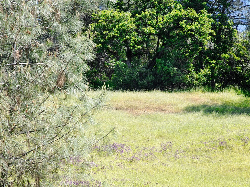 6983 Leslie Rd, Lucerne, CA 95458