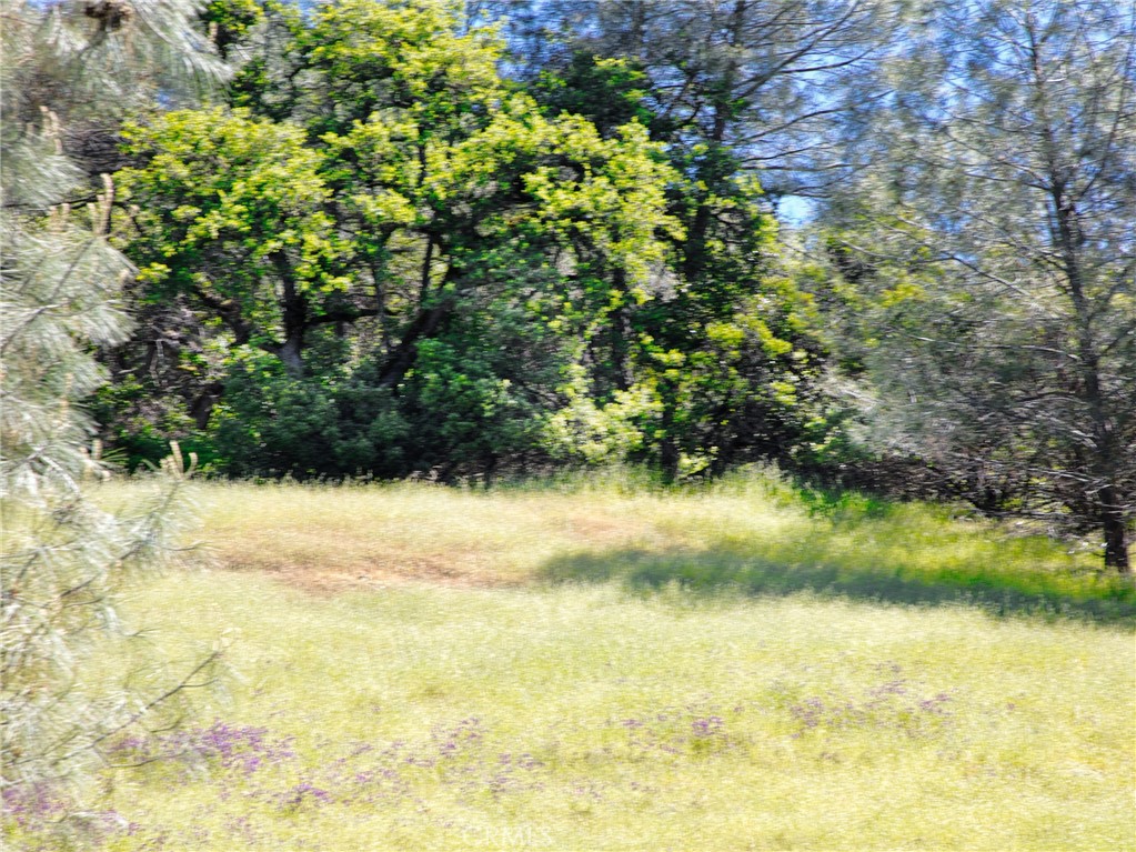 6983 Leslie Rd, Lucerne, CA 95458