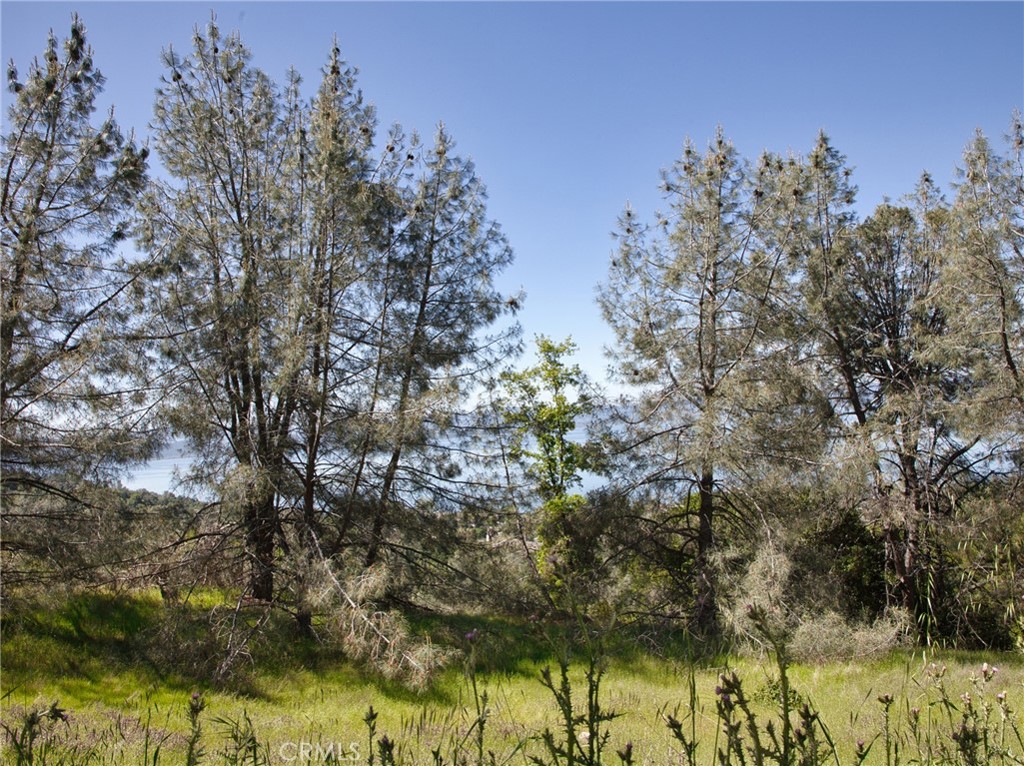 6983 Leslie Rd, Lucerne, CA 95458