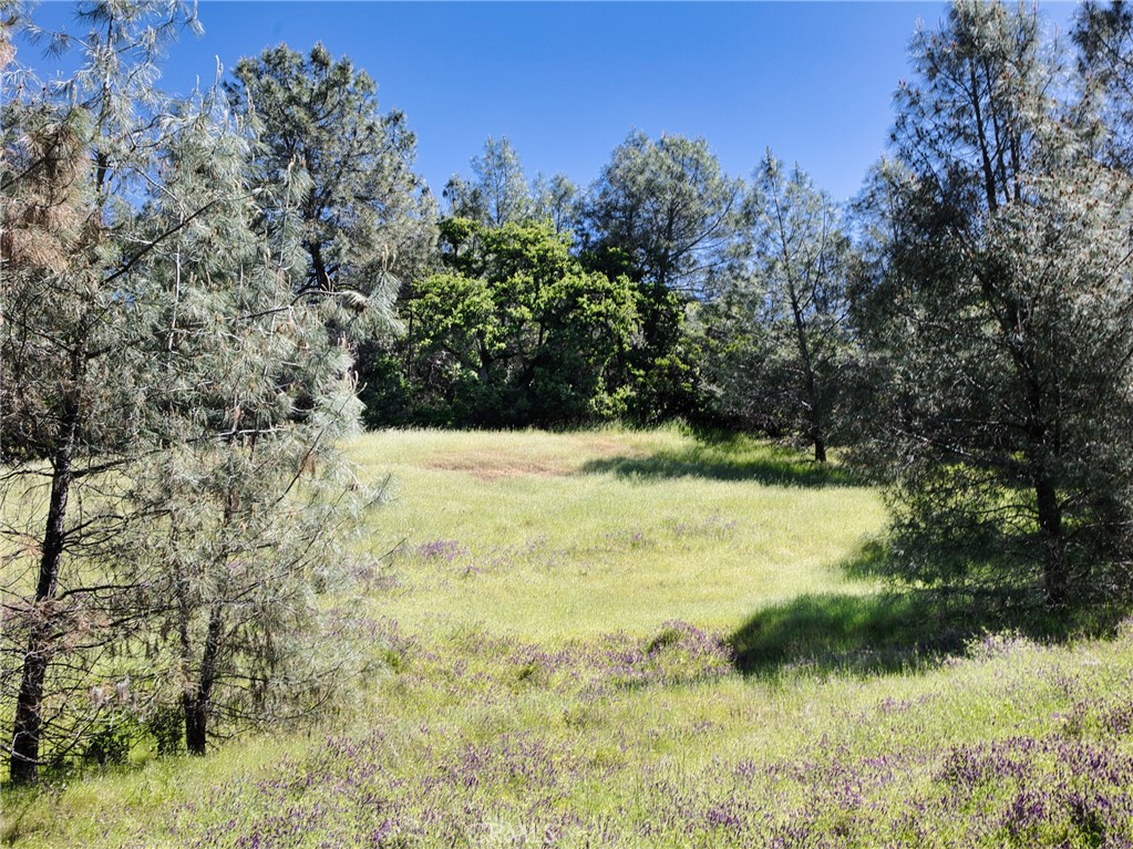 6983 Leslie Rd, Lucerne, CA 95458