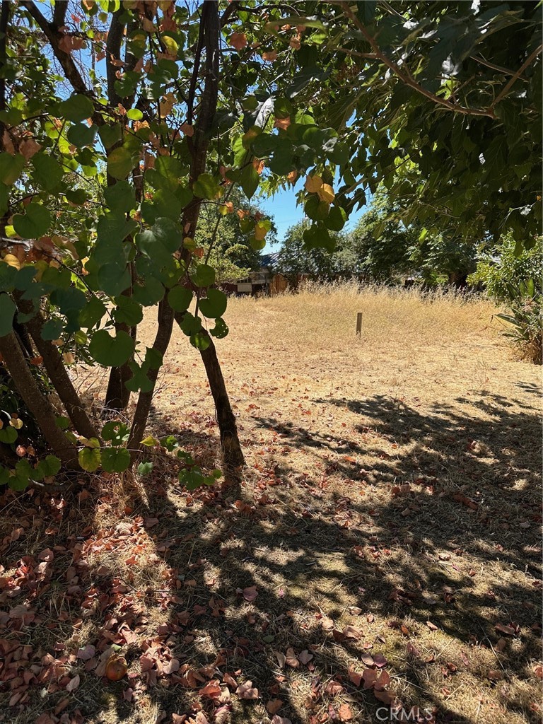 2915 Rancho Vista Dr, Lucerne, CA 95458