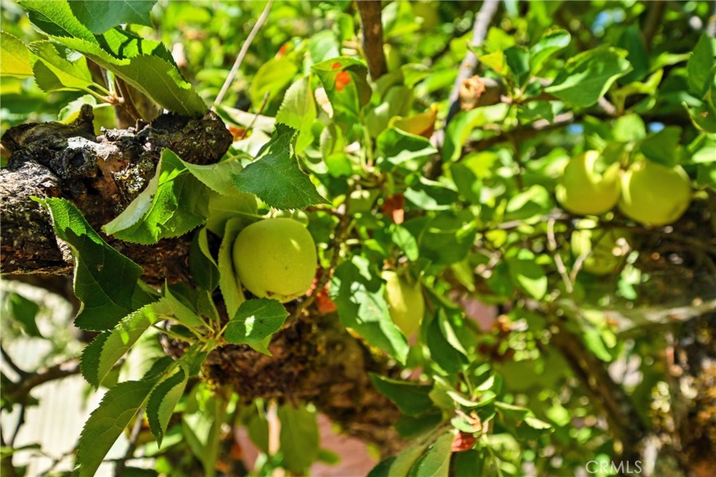 4397 Country Club Drive, Lucerne, CA 95458