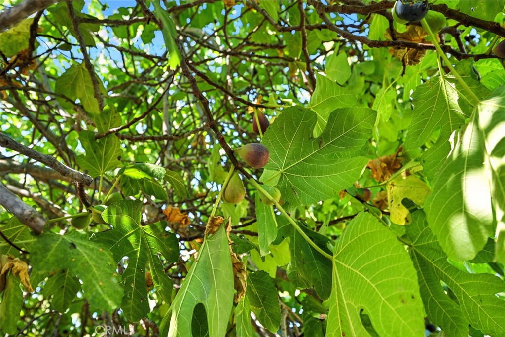 4397 Country Club Drive, Lucerne, CA 95458