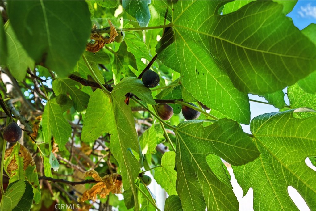 4397 Country Club Drive, Lucerne, CA 95458