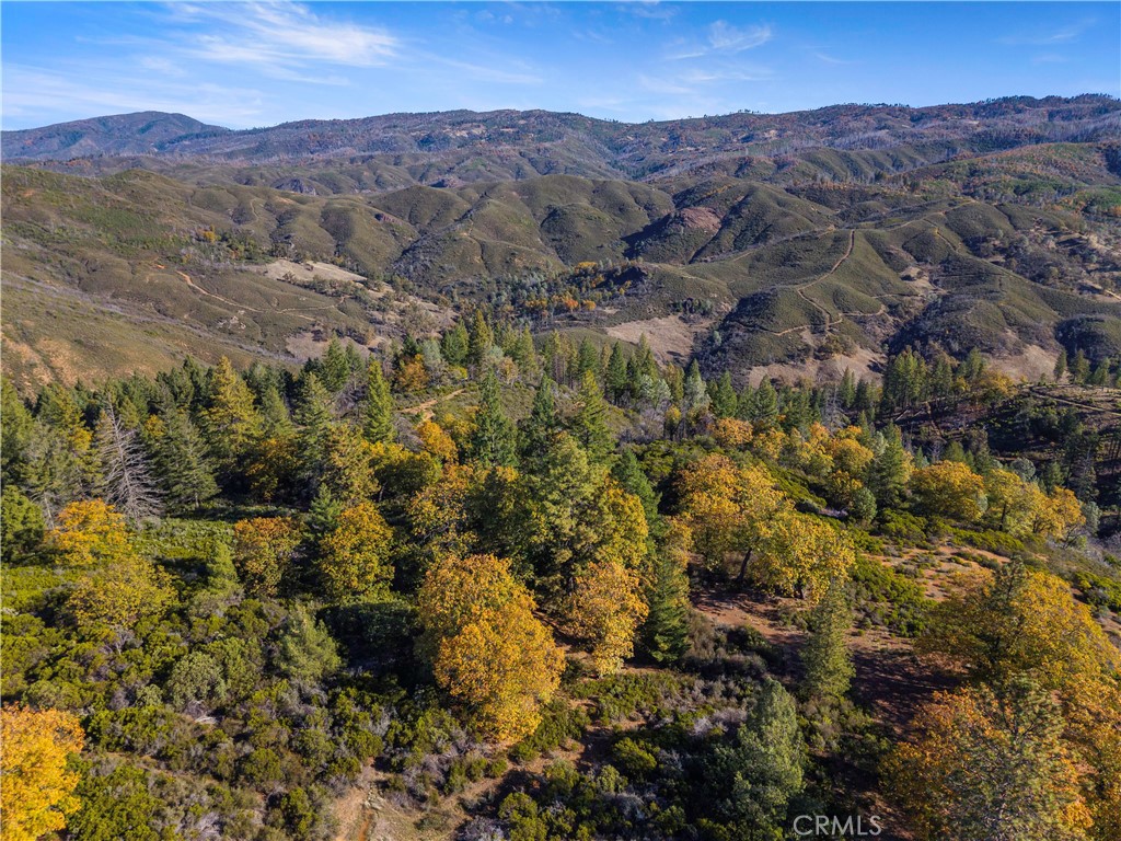 5200 Bartlett Springs Rd, Lucerne, CA 95458