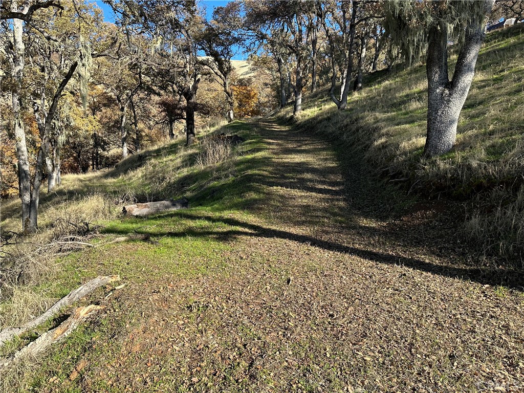 7272 E Highway 20, Lucerne, CA 95458