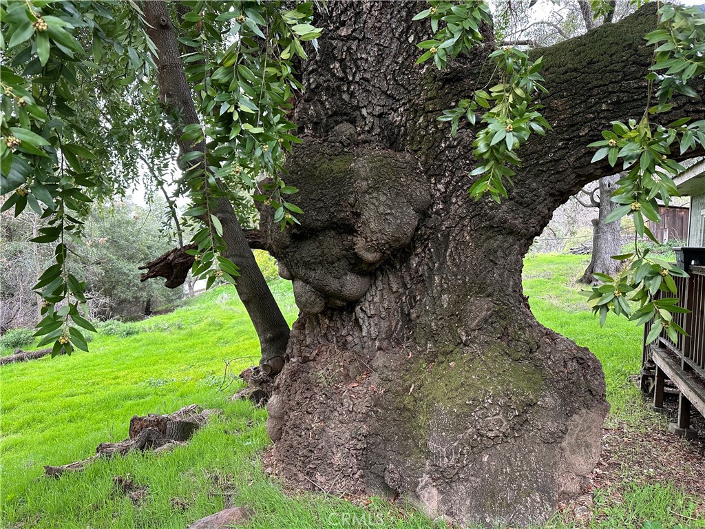 7004 E. Hwy 20, Lucerne, CA 95458