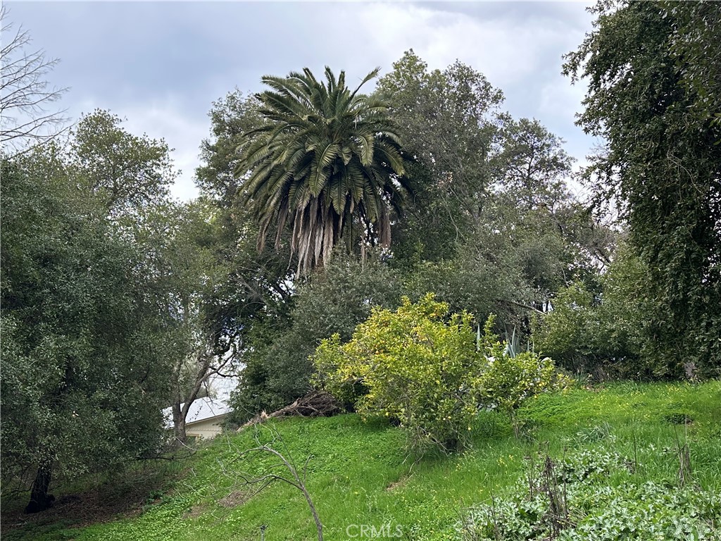 7004 E. Hwy 20, Lucerne, CA 95458